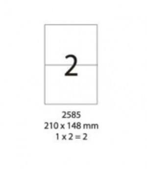 SMART LABEL 2585-100  210 x 148mm (2'S)