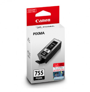 CANON PGI-755 BK INK   
